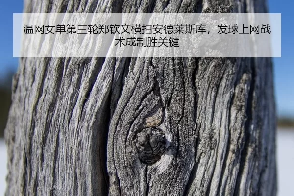 温网女单第三轮郑钦文横扫安德莱斯库，发球上网战术成制胜关键